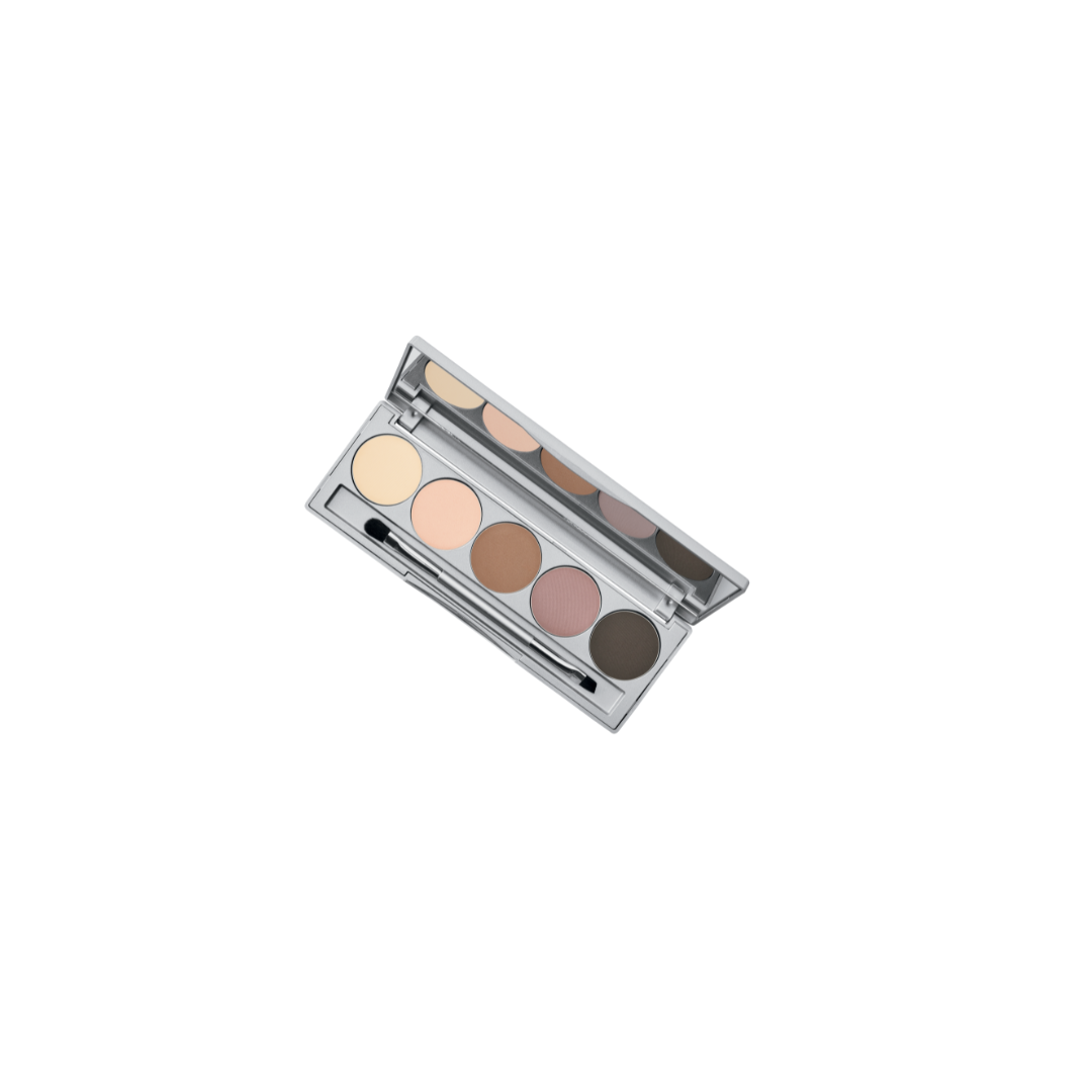 ColoreScience Pressed Mineral Brow and Eye Palette